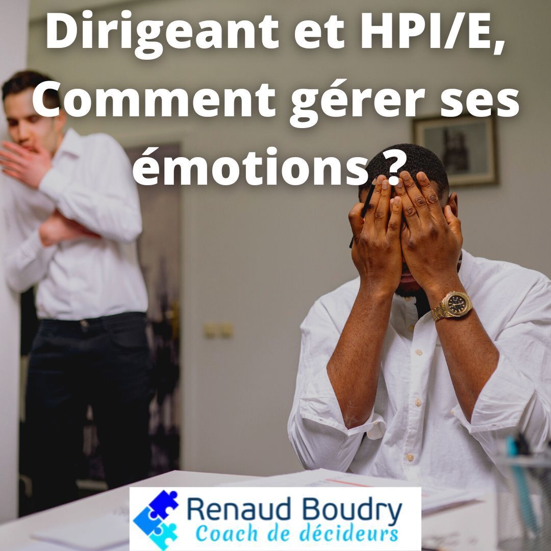 Lire la suite à propos de l’article Dirigeant et HPI/E* : Comment gérer ses émotions ?